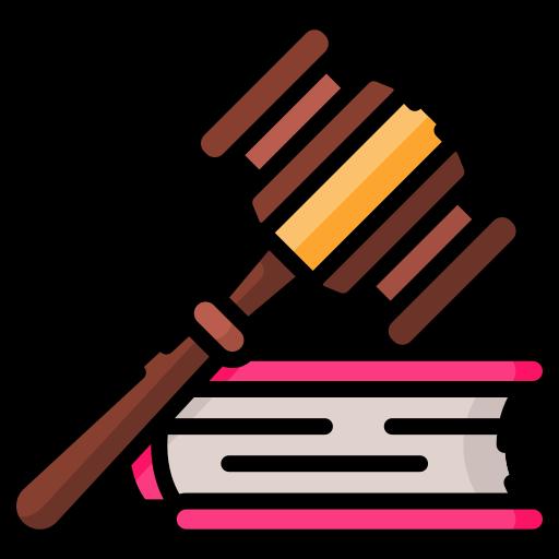 Representación judicial